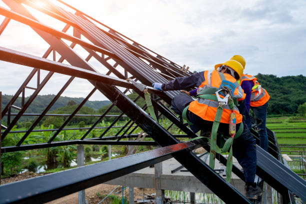 Roof Waterproofing Services in Burr Ridge, IL