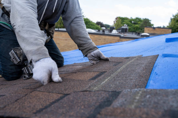 Quick and Trustworthy Emergency Roof Repair Services in Burr Ridge, IL