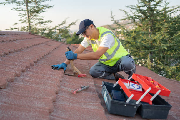 Best Commercial Roofing Services  in Burr Ridge, IL