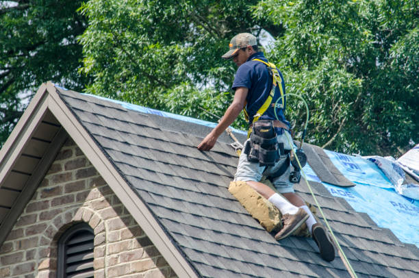 Roof Repair Estimates in Burr Ridge, IL